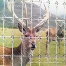 Australie animaux cerfs forme champ clôture grillage